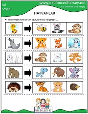 Hayvanların Yavrusunu Bul